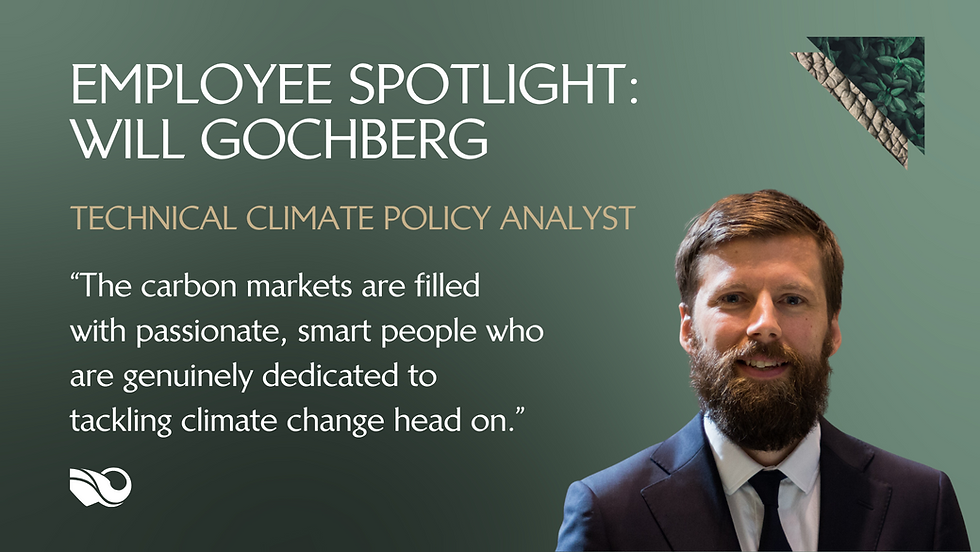 Climate Focus Graphic for 3 Key criteria for CDR