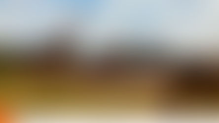 Camera Traps Capture Flourishing Wildlife at Wildlife Works Projects