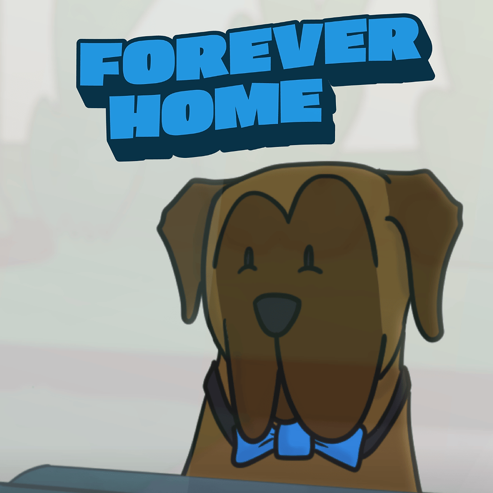 Forever Home