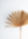 Camel_Social-Squares_Styled-Stock_01071.jpeg