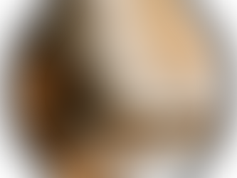 Quiz Result: The Comfort Zone Operator