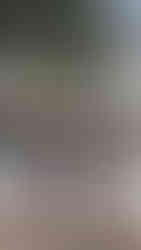 photographed by james ball weddings at the mitre hotel, hampton court 