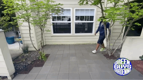 Photo Jun 30, 7 20 12 PM.gif