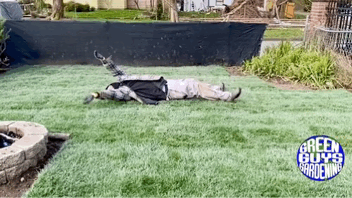 Photo Apr 16, 9 16 45 PM.gif