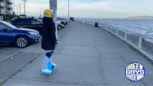 Photo Apr 17, 2 51 48 PM.gif