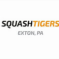 ST-Exton Logo_edited.jpg