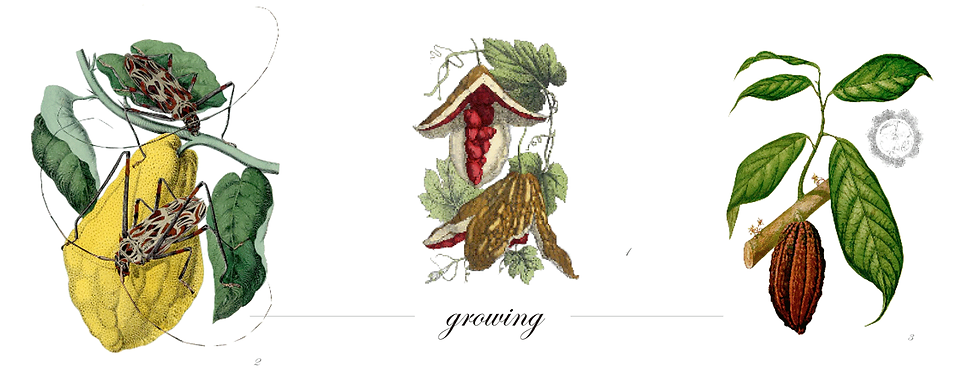 traveling is discovering