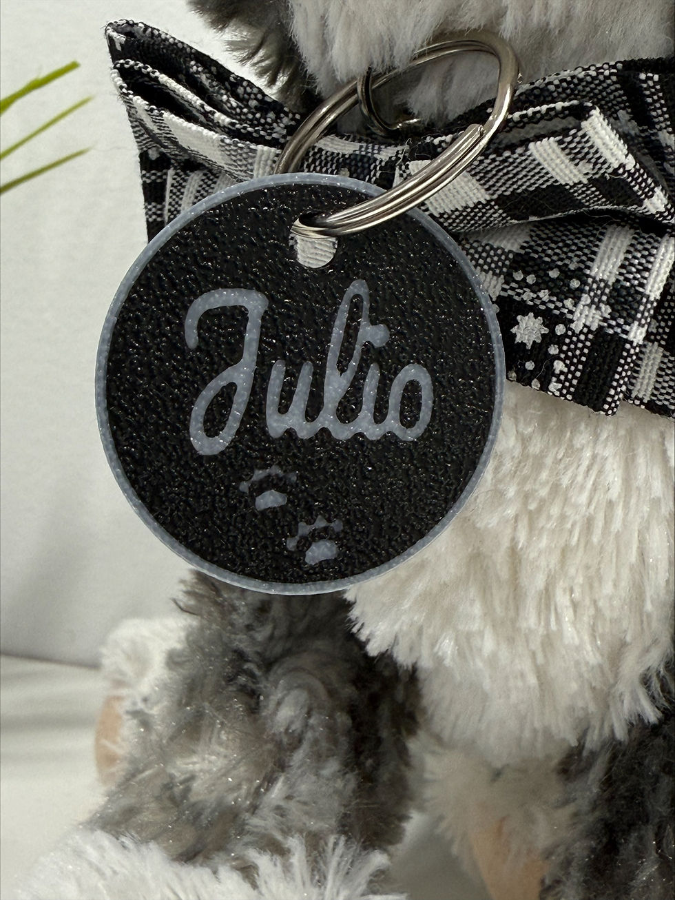 Miniature : Médaille pour chien ou chat