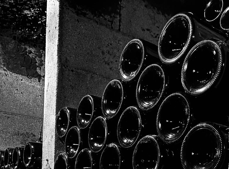 IMG_6182 3_edited_edited.jpg