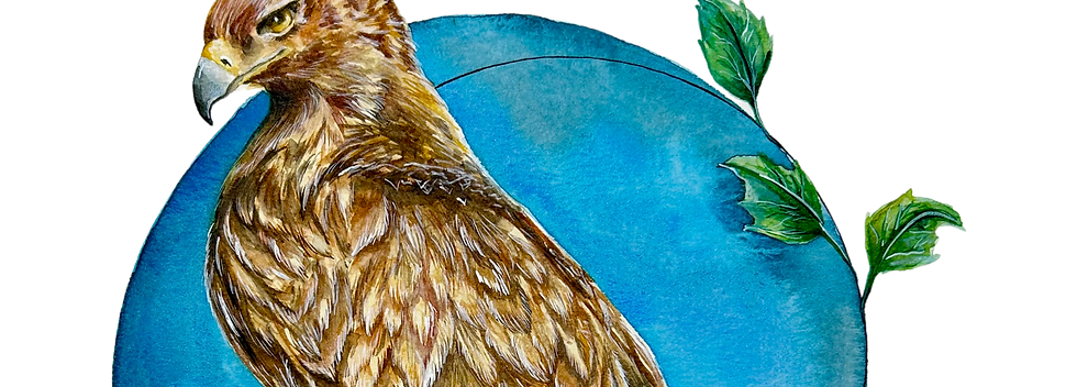 Wisdom Eagle - Rae Wright Artistry Guelph