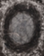 Img0189.jpg