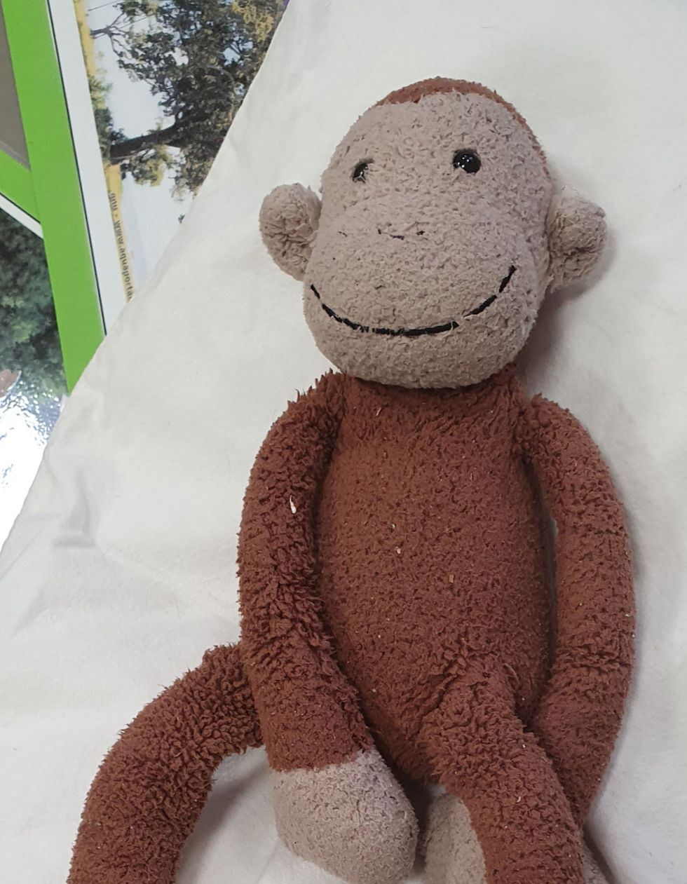 Miniature : La petite fille qui avait perdu son doudou