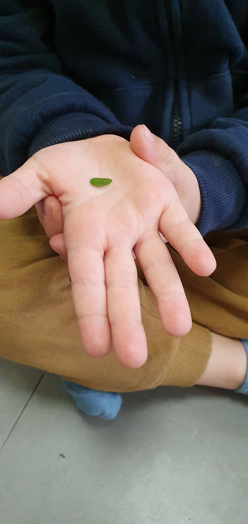Miniature : Le yoga de l'automne