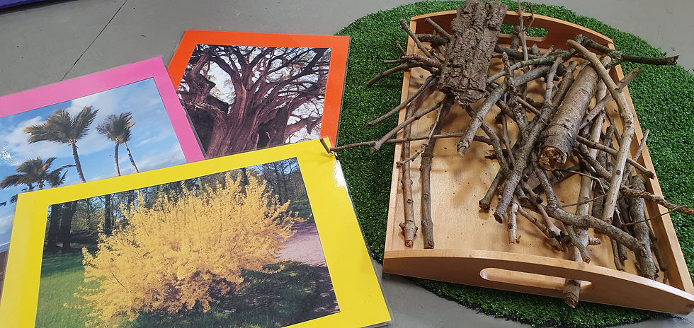 Miniature : Le yoga de l'automne