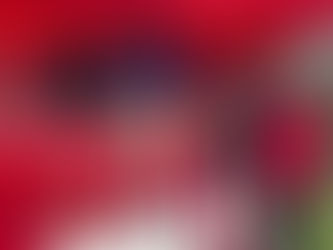 Cross et 10km pour débuter le mois de Décembre