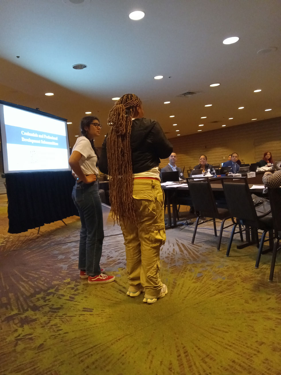 Photo of 2 high school students, one with black hair and glasses in white t-shirt and blue jeans, and 1 with long brown braids, black t-shirt, and tan cargo pants, standing in a large conference room with a presentation screen and a microphone speaking to a room of adults in suits.