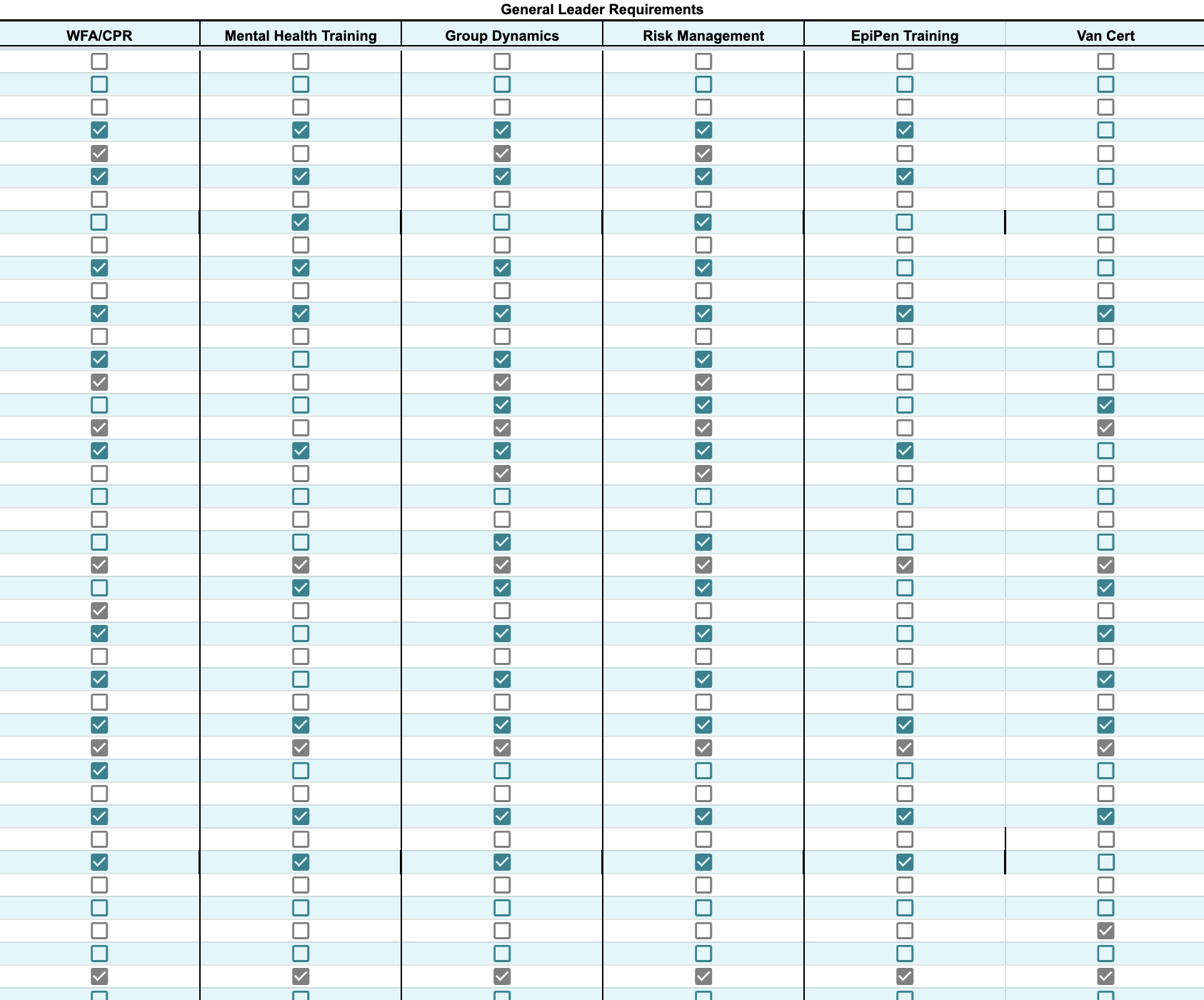 Screenshot of an existing DOC leader requirements spreadsheet