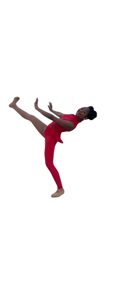 61D9B805-4CD0-4F32-BC04-DB86A428ECB1 (1) (1).png