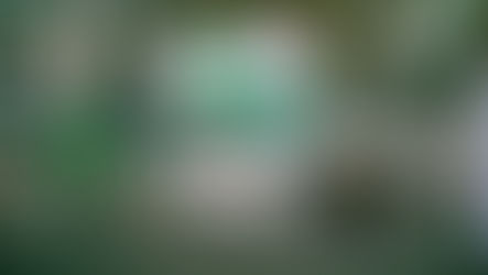 Marken erlebbar machen: Die Agritechnica 2025 mit Holtmann+