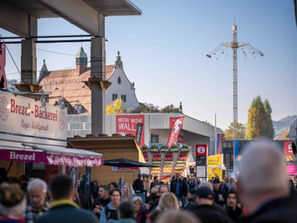 Invasion an der OLMA 2026: Wie der Gastkanton Schwyz in St. Gallen liefern will