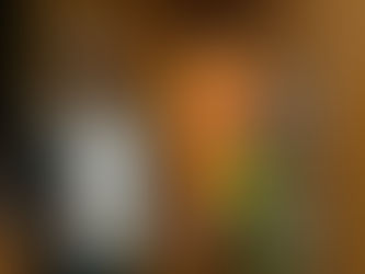 «Der Begriff Leitmesse oder Weltleitmesse ist ein Symbol für die mangelhafte Auseinandersetzung mit sich selbst»