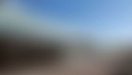 Bernexpo: Stillgelegtes Kerngeschäft - Umsatzeinbruch