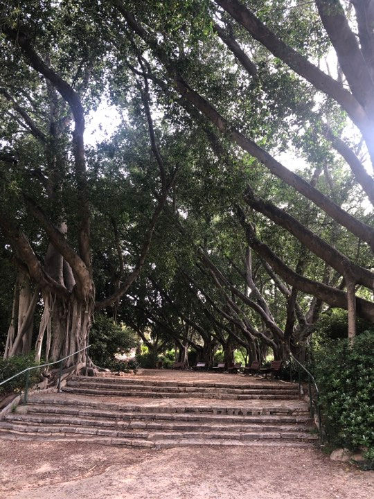 Квар Саба.jpg