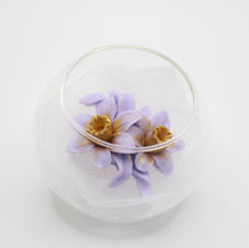 Lavender Scented Daffodil