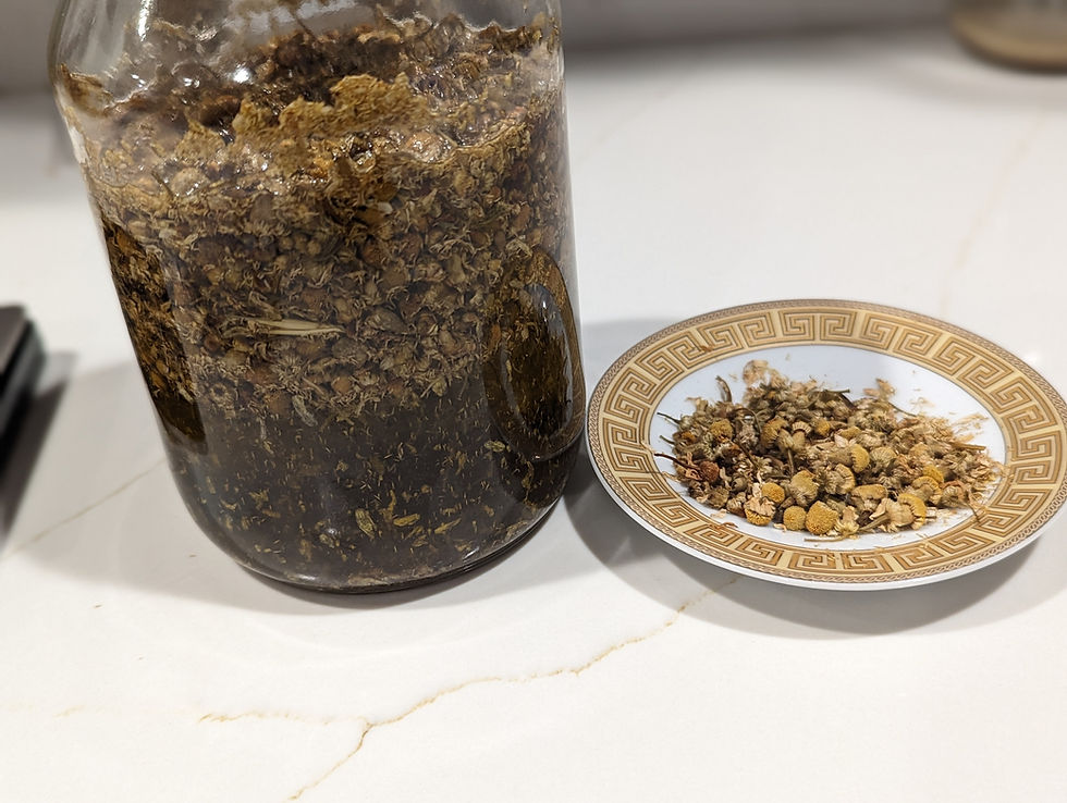 Thumbnail: Tame-  Turmeric and chamomile salve- 22 grams