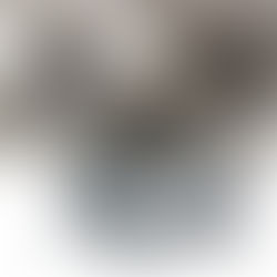 PEDZ | ART IN EARTH PROJECT