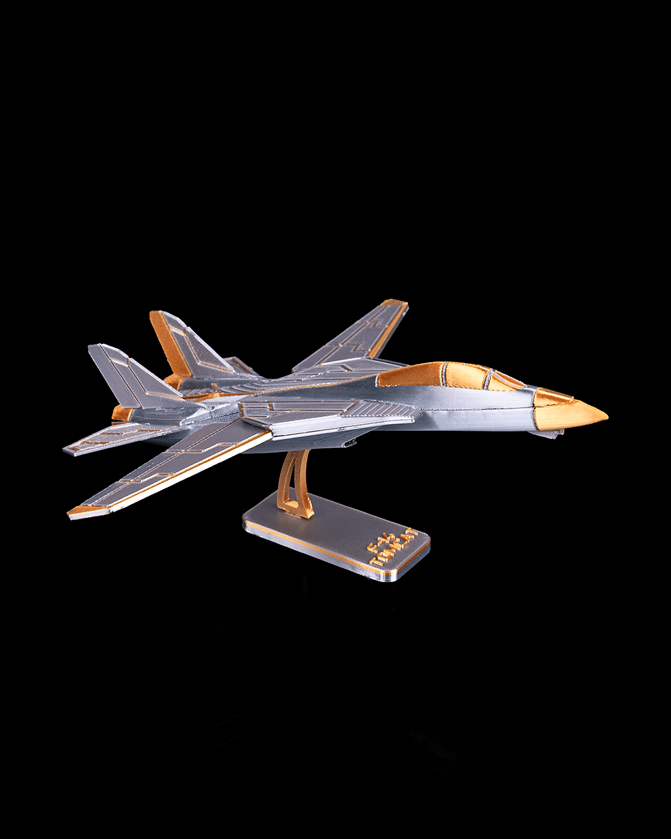 Thumbnail: F-14 Tomcat 3D Printed Airplane Model Kit – Swing Wing Jet – Aviation Gift for H