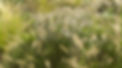 20200928-foto-stationsplein-HH-1_bew2.jp