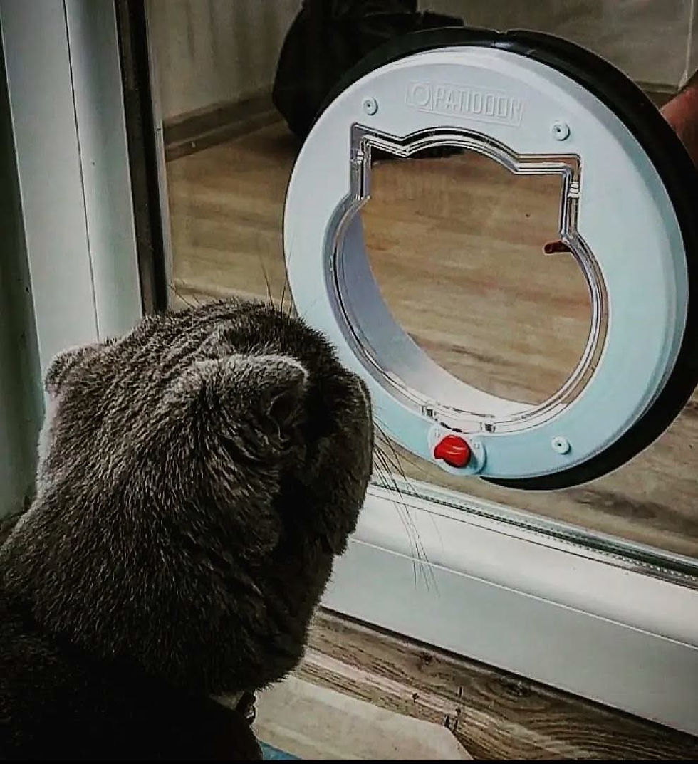 Küçük resim: PATİDOOR PATİ XXL  Kedi köpek kapısı