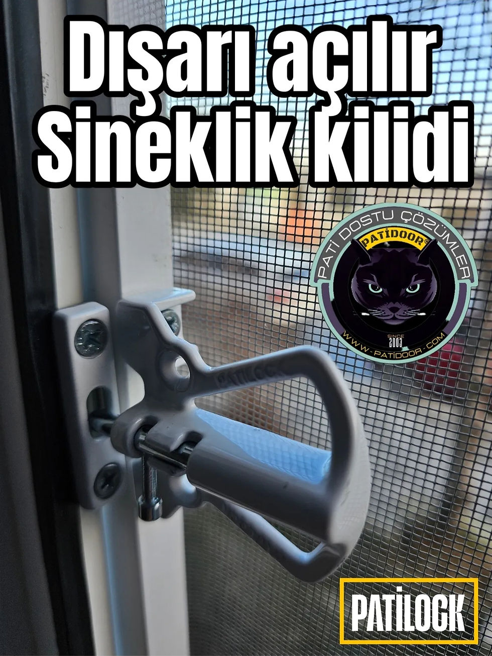 1_org_zoom_edited.jpg