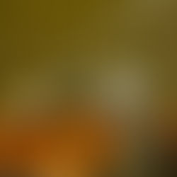 107th Exhibition Winner of the Dale Meyers Cooper Award for Watercolor- Nick Long