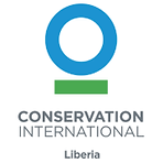 Conservation International works with COSAT Unlimited for high-quality Land Cruiser rentals in Liberia
