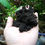 Thumbnail: Be Grow Media Tanam 25 Kg