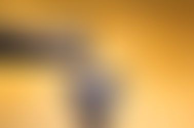 藍騰山冰釀藍莓蜂蜜酒