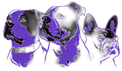 JTPX0676_edited_edited_edited.png