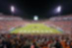 VFAC - Lava Header - Scott Stadium.jpg