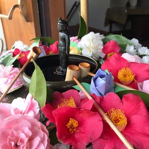 Happy Birthday, Shakyamuni Buddha!