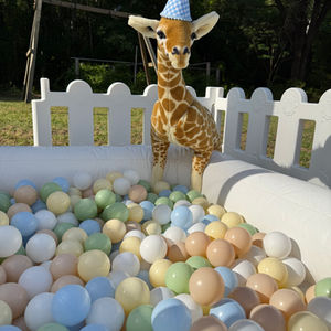 Party Animal Soft Play