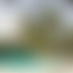 Obtaining an aluminum specialty license in Florida