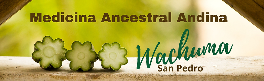 Medicina Ancestral Andina(2).png