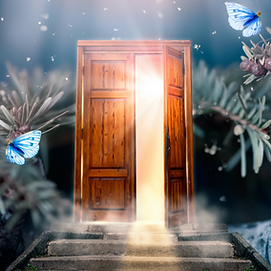Fantasy%252520enchanted%252520fairy%252520tale%252520forest%252520with%252520magical%25252
