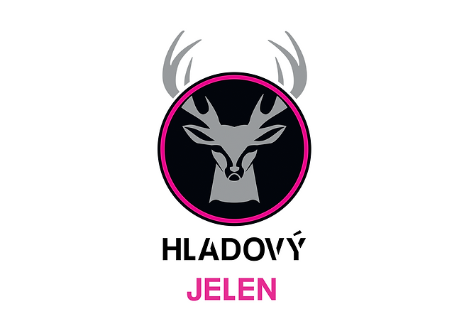 logo na web.png