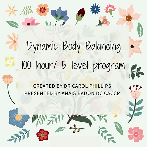 Séminaire Chiropratique  Périnatal (2).png