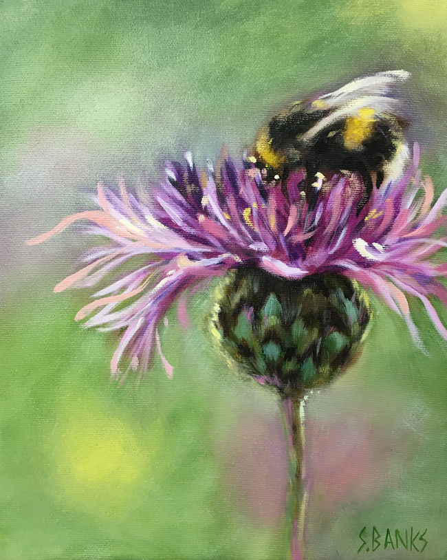 Bee On A Thistle