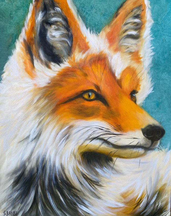 Arctic Fox