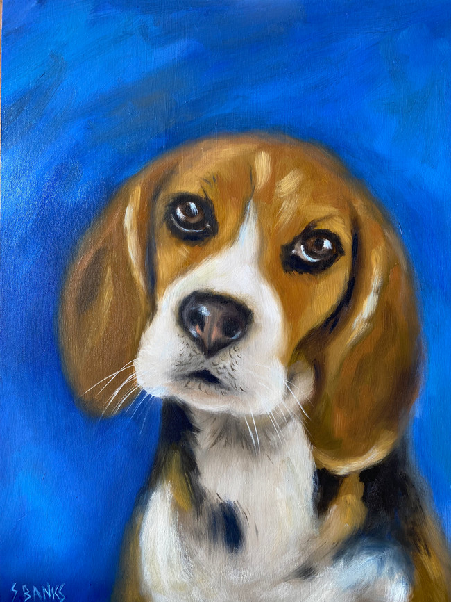 Beagle